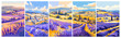 © ssstocker - Lavender field. Provence countryside summer landscape with lavandula flowers, floral rural hills posters set vector illustration