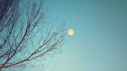 Wall Mural - a solitary tree with no foliage stands tall beneath a half-moon in a crystalline, azure sky