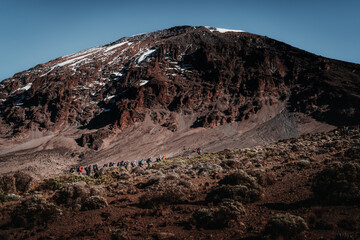 A group of hikers in a single line on the trail to Mount Kilimanjaro in Tanzania Africa