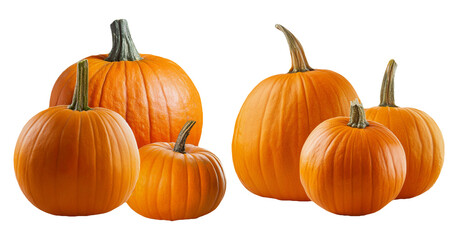 group of fresh orange pumpkins isolated on transparent background