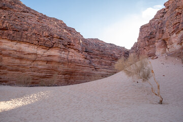 Aufkleber - Majestic Tsvetnoy Canyon in Egypt showcasing unique rock formations and soft sand dunes during daylight