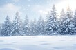© PlanetOfVectors - Snow-covered landscape with snowflakes falling, featuring evergreen trees in the background under soft sunlight. Concept of winter, nature, and tranquility. Ai generative