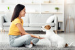 © Prostock-studio - Joyful young asian woman in casual sitting on floor in living room, training her smart fluffy puppy jack russel terrier breed to give a paw, side view, copy space. Dog training at home concept