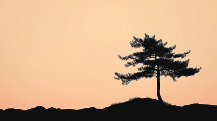 Wall Mural - Solitary Pine at Sunset: A Silhouette of Serenity