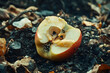 © Muhammad - Decaying Apple Core on Dark Soil, A Study in Organic Decomposition and Decay