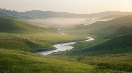 Wall Mural - Serene Morning in the Rolling Hills