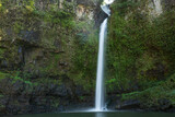 Wasserfall im tropischen Norden von Queensland - Nandroya Falls Wooroonooran QLD  Australien