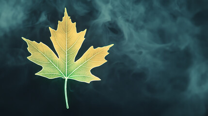 Wall Mural - Glowing neon leaf in smoky background