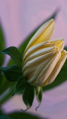 Poster - Flower's Graceful Bloom