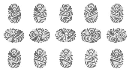 fingerprint identification: a pattern of detailed fingerprint ridges and unique identifying markers 