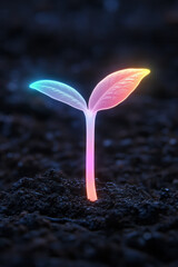 Poster - Gentle overhead shot of a single seedling emerging from freshly watered soil, tinted by neon-like