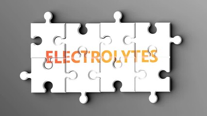 Poster - Electrolytes being a complex topic - puzzle pieces with word electrolytes coming together to make a whole. Electrolytes made of many fitting parts, a compound subject.