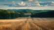 © StockKing - Vast golden harvested fields stretch towards lush green forests under a bright blue sky dotted with soft white clouds creating a serene landscape.