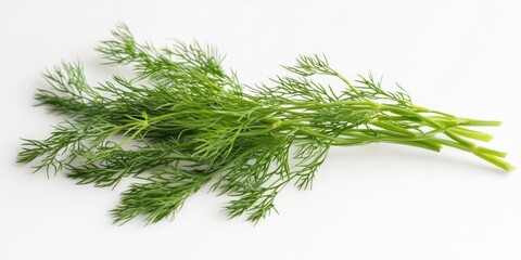 Poster - Fresh bunch of green dill herb with delicate feathery leaves arranged diagonally on a white background displaying vibrant organic textures and colors.