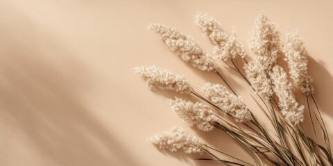 Leinwandbilder - Minimalistic flat lay of Pampas grass against a beige background, showcasing neutral tones with soft shadows and elegant arrangement on the right.