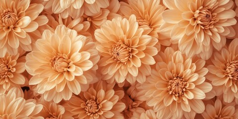 Aufkleber - Soft peach flower texture featuring intricately detailed blossoms arranged densely, ideal for enriching backgrounds and creative design projects.