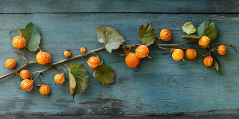 Poster - Vibrant orange physalis fruits arranged along a teal wooden background with lush green leaves creating a fresh, natural aesthetic in the image.