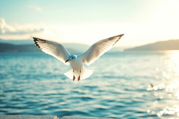 Poster - Seagull soaring gracefully above sparkling water during sunset over the ocean. Generative AI