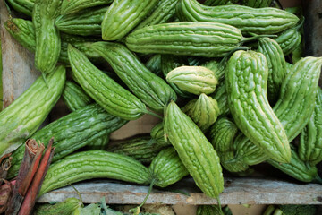 Wall Mural - Fresh green bitter melon (pare) with a textured surface and firm skin, displayed in its raw state, showcasing natural freshness