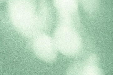 Wall Mural - background green wall studio kitchen room with shadow leaves, light for product present,backdrop emp