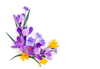 Wall Mural - violet and yellow flowers crocuses, blue flowers hepatica on a white background with space for text.