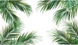 © aura studio - Vector palm branches in the corners, exotic plants, PNG artwork, summer background, tropical plants decoration elements, palm tree decor, nature leaves, green jungle, paradise foliage