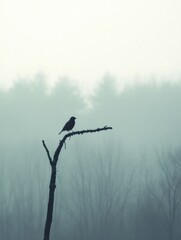 Fototapete - Lone bird perched on a dead tree branch in a foggy landscape with space for text. Generative AI