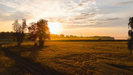 Wall Mural - Dawn in a wheat field, a car is driving along the highway