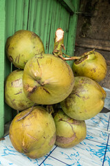 Wall Mural - A close-up display of a bunch of coconuts still attached to their stem, showcased at a traditional market stall