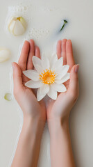 A white lotus flower floating in two hands, seen from above
