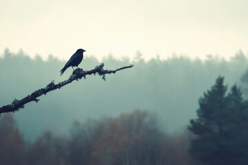 Aufkleber - Lonely bird perched on a lifeless branch amidst a misty forest landscape. Generative AI