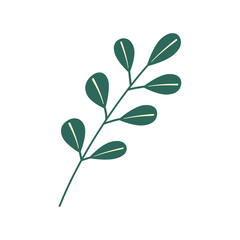 A green branch with leaves on a white background