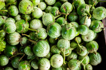 Wall Mural - Fresh raw round eggplants (terong bulat or terong gelatik) displayed, featuring their smooth purple and green skin, firm texture, and small size, commonly used in Asian cuisine