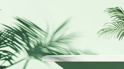 Canvas Print - Minimalist Green Aesthetic Display Shelf