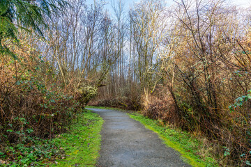 Canvas Print - Wetlands Winter Trail 3