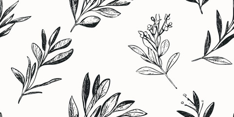 Olive branch pattern. Seamless vector black and white botanical pattern with olive branches and leaves on a white background for design element, wrapping, wallpaper, banner background