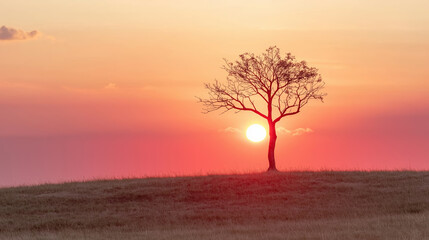 Wall Mural - Solitary tree silhouetted against blazing sunset sky, casting dramatic minimalist landscape with peaceful atmospheric intensity