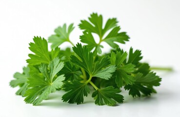 Fresh green parsley leaves isolated on white. Herb ingredient for cooking. Raw, organic, aromatic spice for vegetarian cuisine. Healthy garnish, culinary flavoring. Natural, fragrant seasoning. Macro