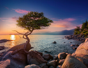 Wall Mural - Tree on the rocks stunning landscapes are 