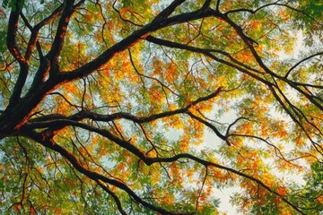 Canvas Print - Lush Green Foliage View Under Large Tree in Spring with Sunlight Filtering Through Leaves