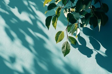 Aufkleber - Lush green leaves cast shadows on a teal background.