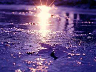 Aufkleber - Sunlit purple ice with fallen leaves.
