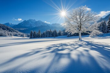 Aufkleber - Snowy landscape with a frost-covered tree casting a long shadow in bright sunlight, majestic mountains in the background.