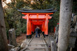 © Allison - shinto shrine arches in Fushimi Inari in Japan