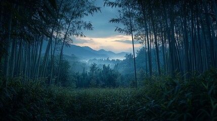 Poster - Serene twilight view through bamboo forest, revealing misty mountains.
