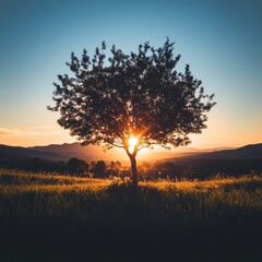 Poster - Beautiful sunset behind a solitary tree in a peaceful meadow during golden hour. Generative AI