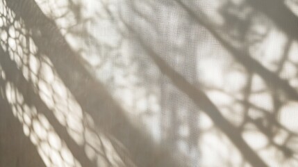 Abstract background with the shadow of a net on a white wall, soft focus, light beige and gray, simple and elegant style, high resolution, high detail, sharp edges, high quality 