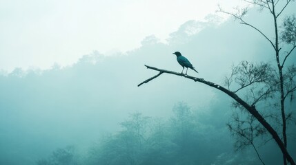 Aufkleber - Lone bird perched on a dead tree branch against a foggy forest backdrop during early morning light. Generative AI