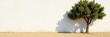 © Pat - Whitewashed wall contrasts brown sand, sunlight, tree silhouette , tree, pure