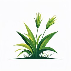 Wall Mural - sedge plant icon on plain white background